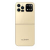 F10 GOLD