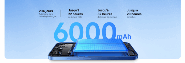 batterie 6000 mAh