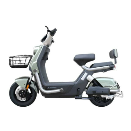 scooter-electrique-ecoride-alpha-1000-watts-vert-claire