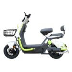 scooter-electrique-ecoride-alpha-vert-1000-watts-vert-1azd (2)