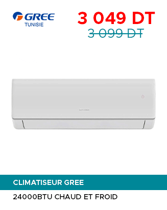 CLIMATISEUR GREE
