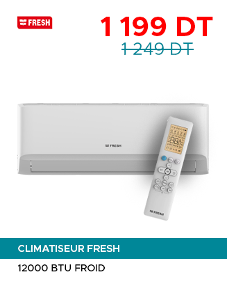 CLIMATISEUR GREE