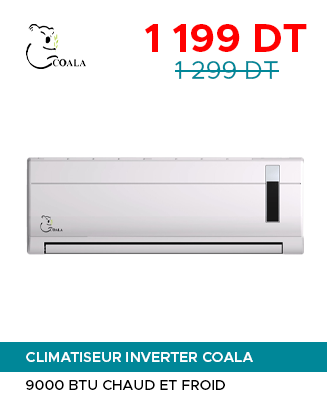 CLIMATISEUR GREE